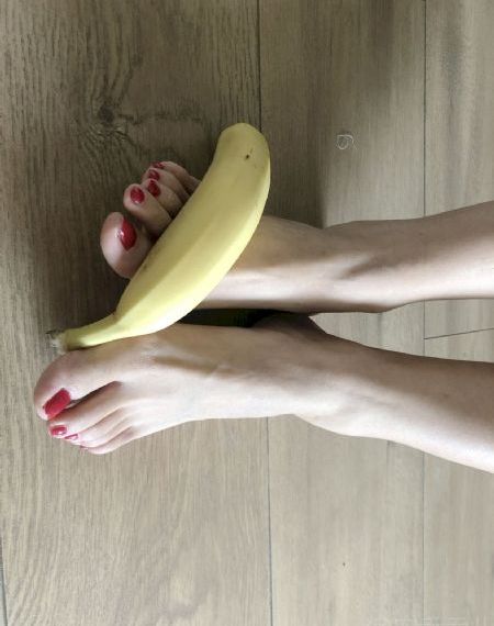 圣痕炼金士第二季