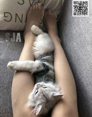 安澜