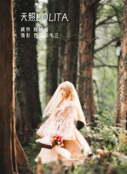 陈宝莲电影在线