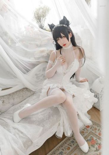 天使与龙的轮舞全集