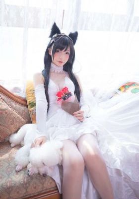 喜爱夜蒲5